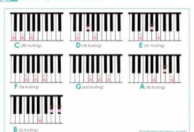 14 hợp âm cơ bản nên biết khi học Piano